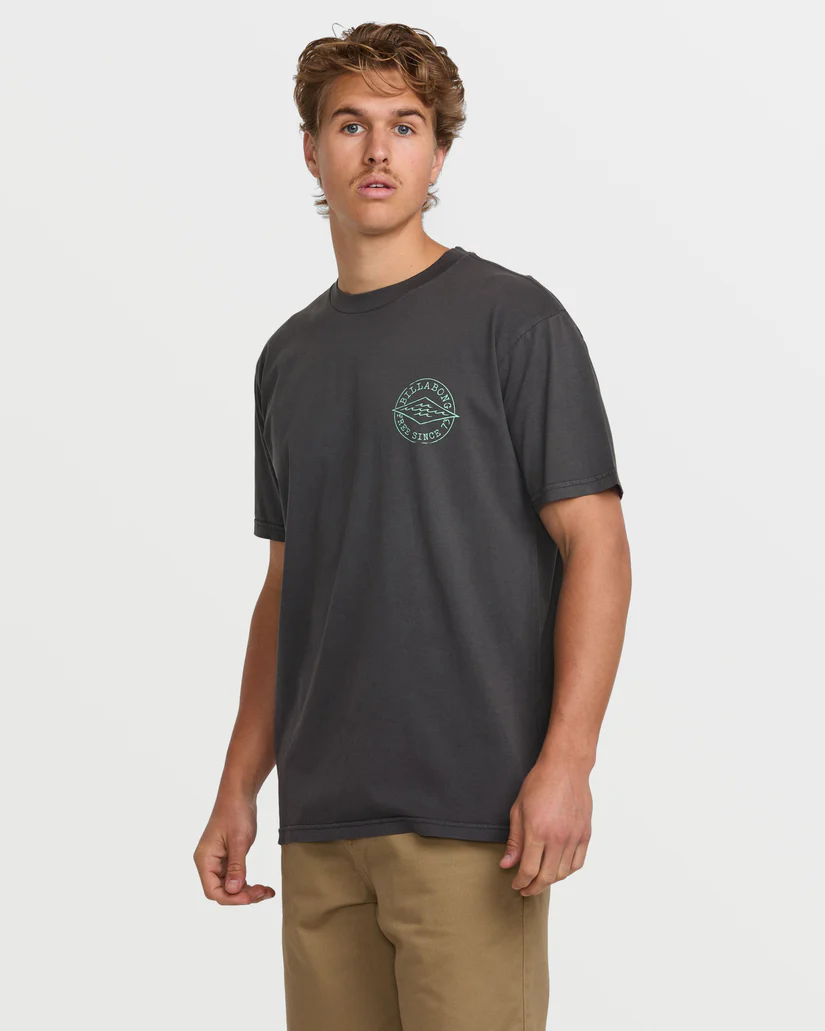 CAMISETA MASCULINO BILLABONG BIG DAVE PREMIUM WW – foto 3